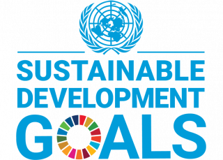 Sustainable Development Goals logo-web witruimte_tiny